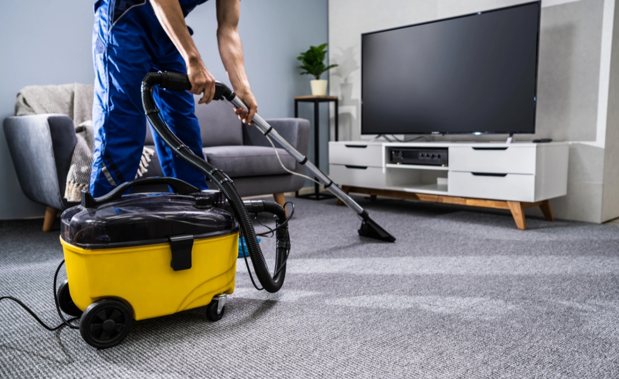 Extract Curtain Cleaning Mckinnon Contact Office